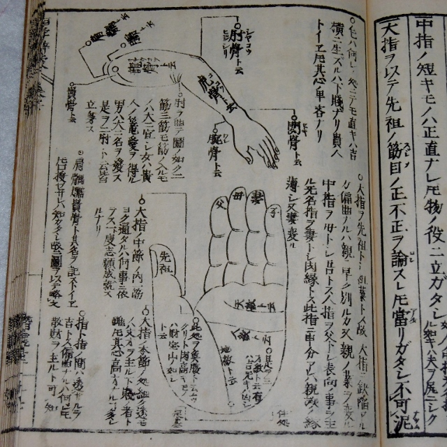 P1440979 (640x640)