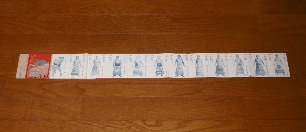 P1590428 (1024x443)