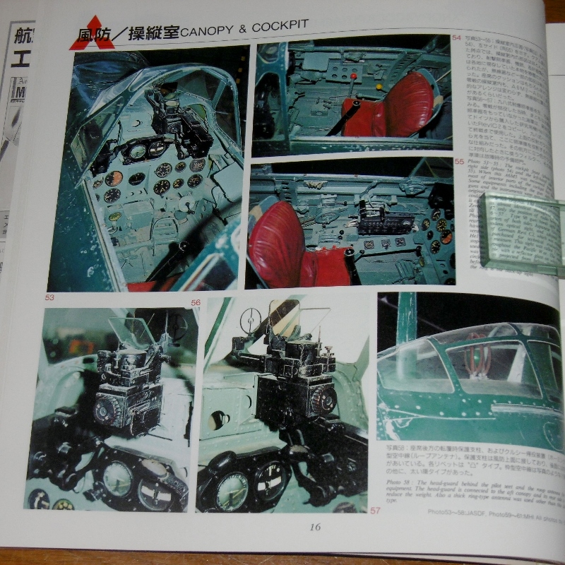 P1690165 (800x800)