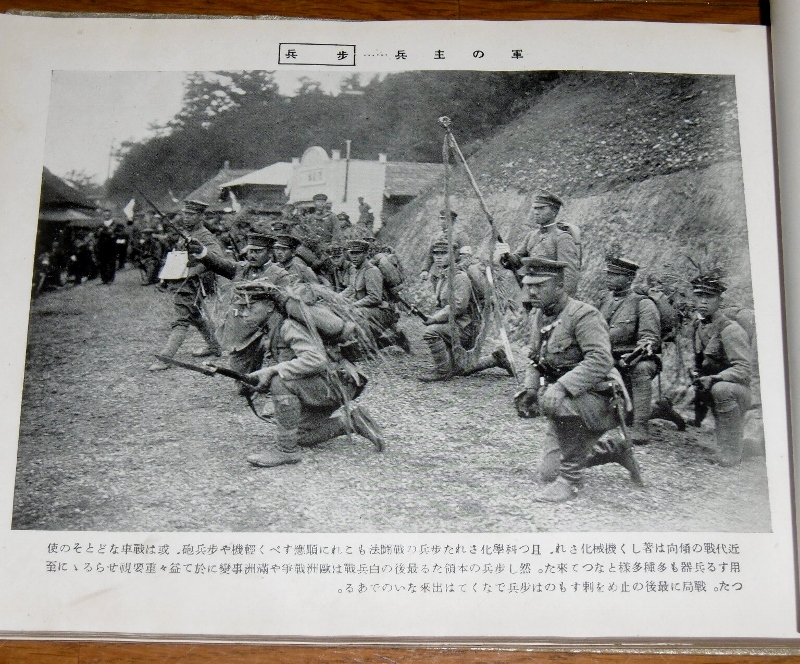 P1720880 (800x664)