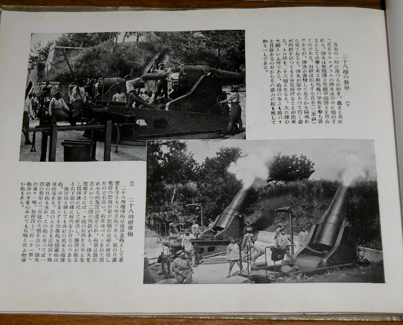 P1720887 (800x645)