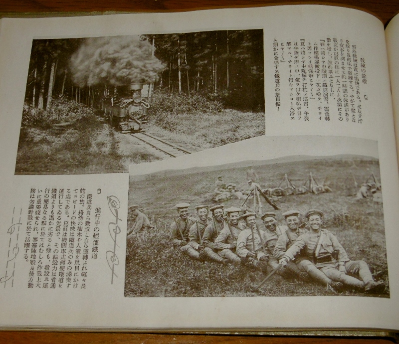 P1720888 (800x690)