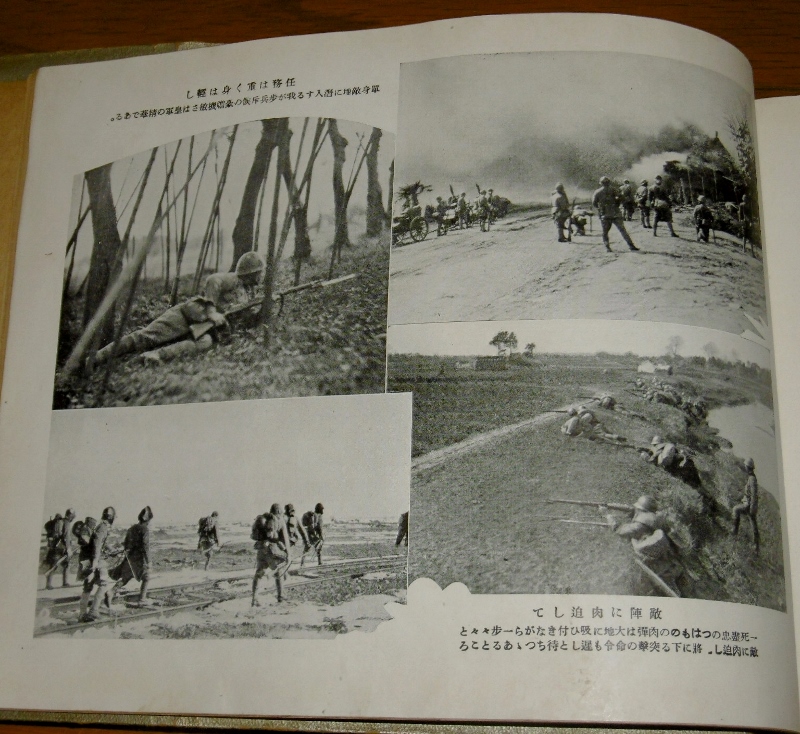 P1720890 (800x734)