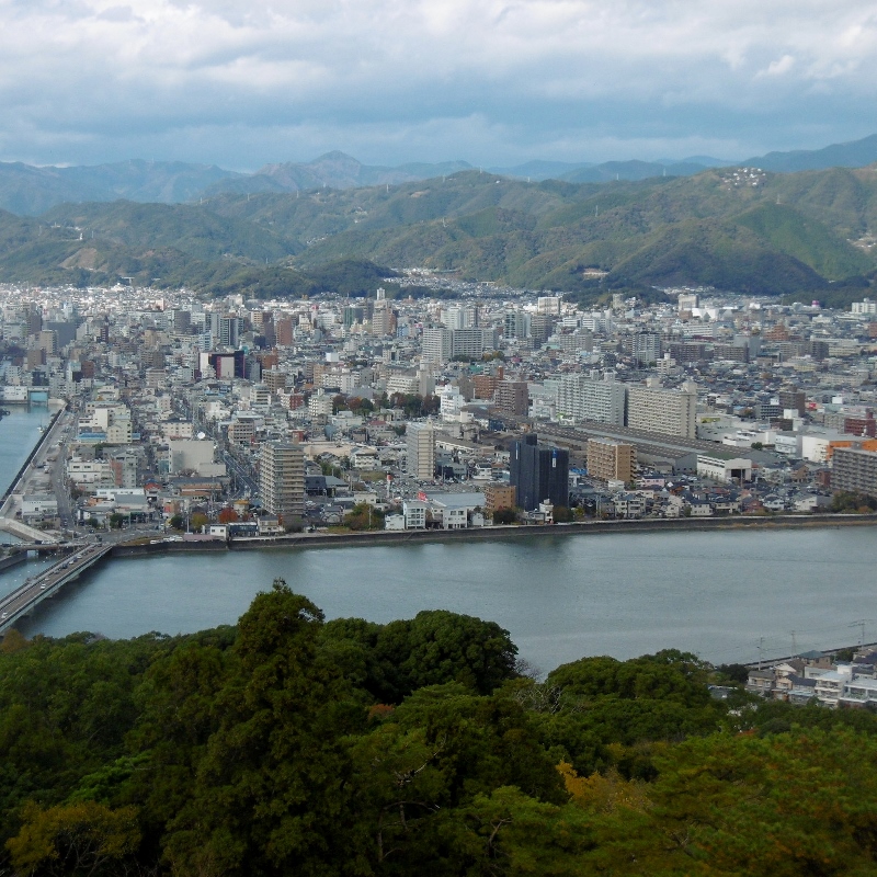 P1740580 (800x800)