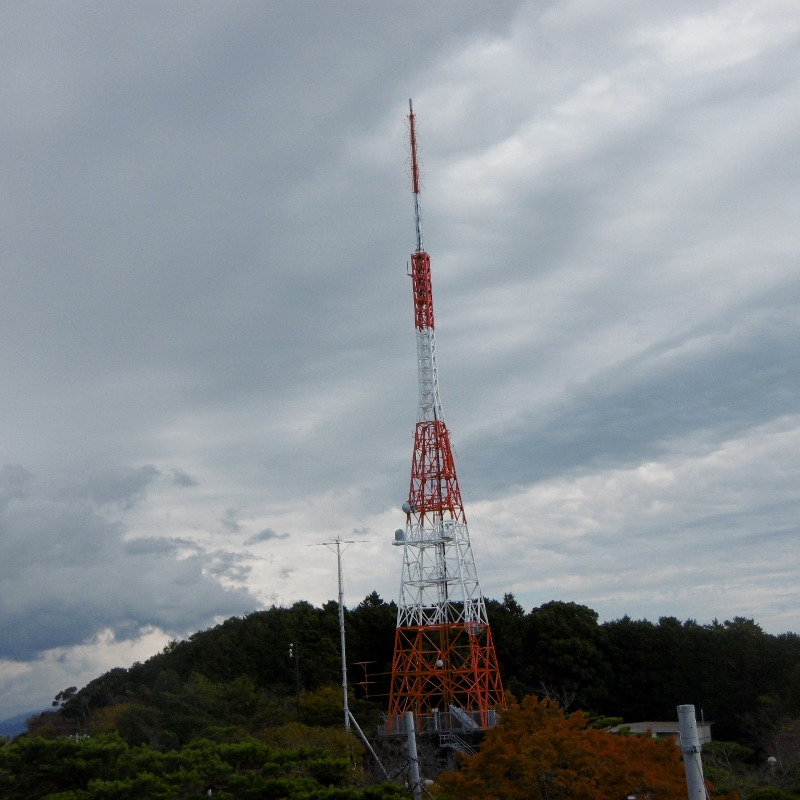 P1740583 (800x800)