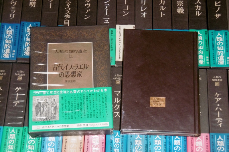 P1780063 (800x533)