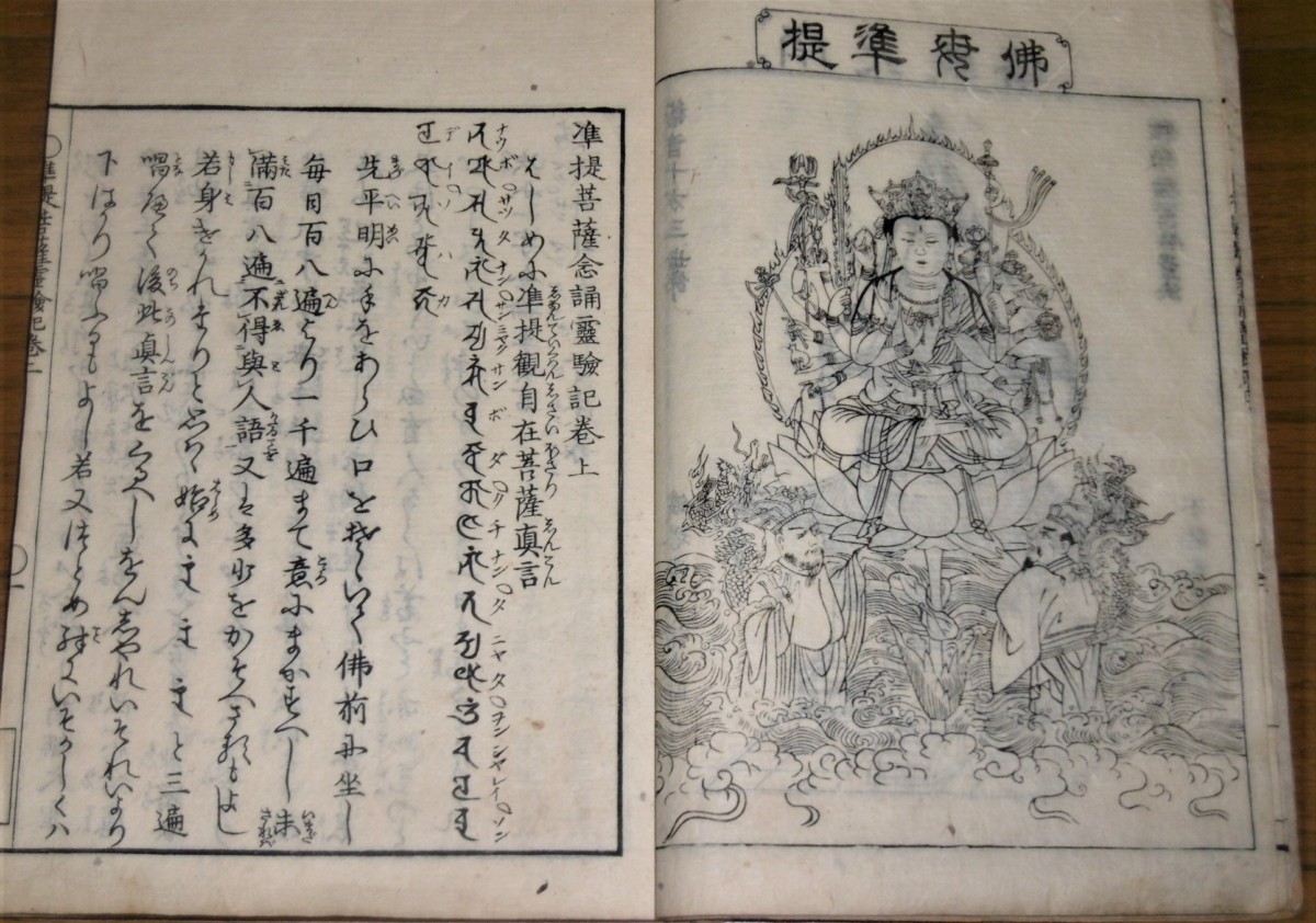 P1800123 (2)