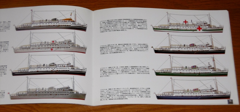 P1770234 (800x375)