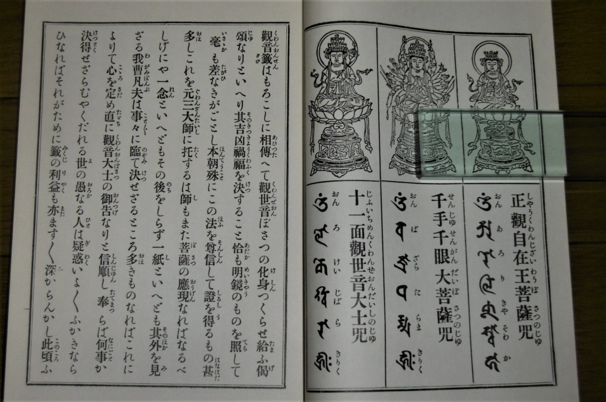 P1810933 (2)