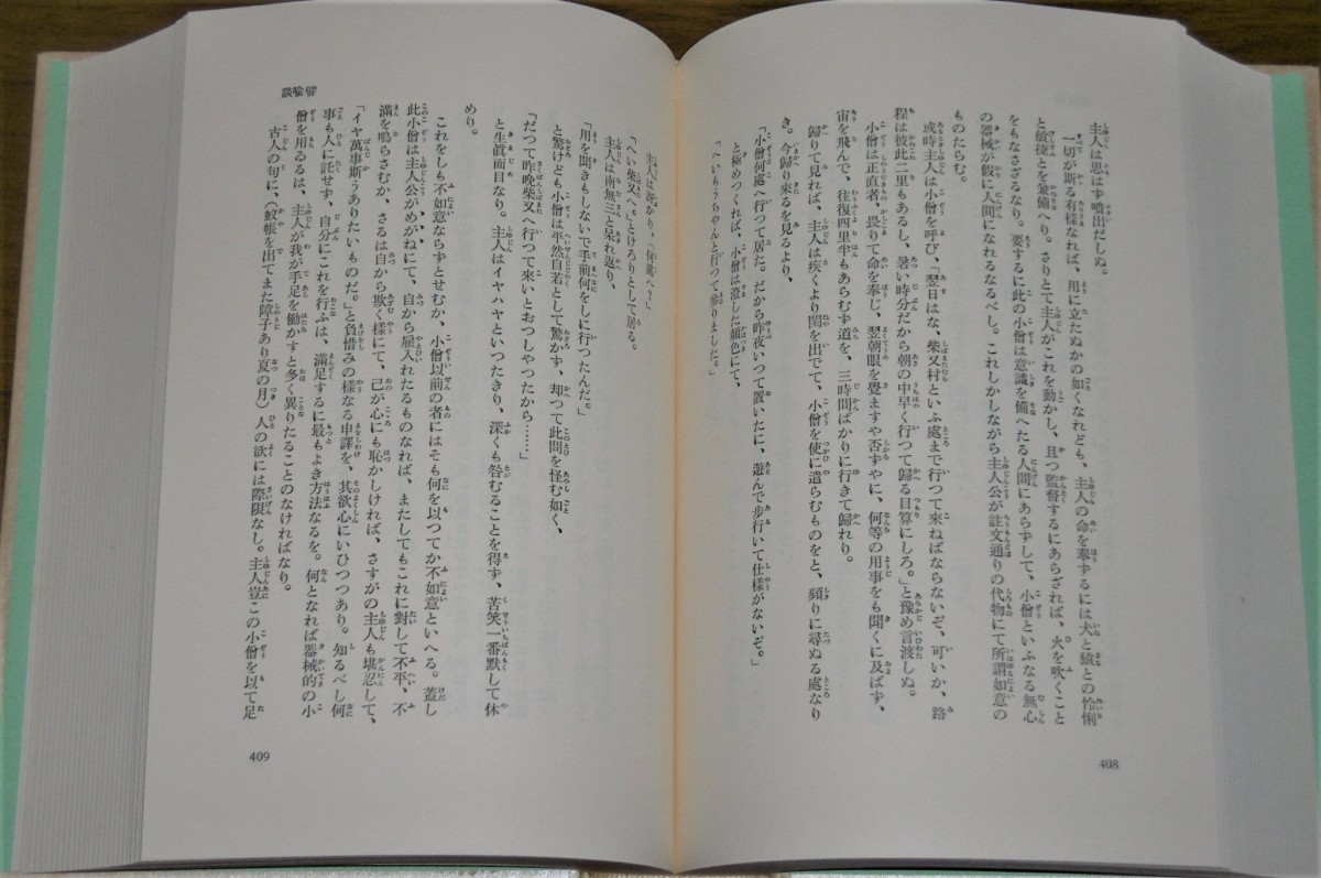 P1820949 (2)