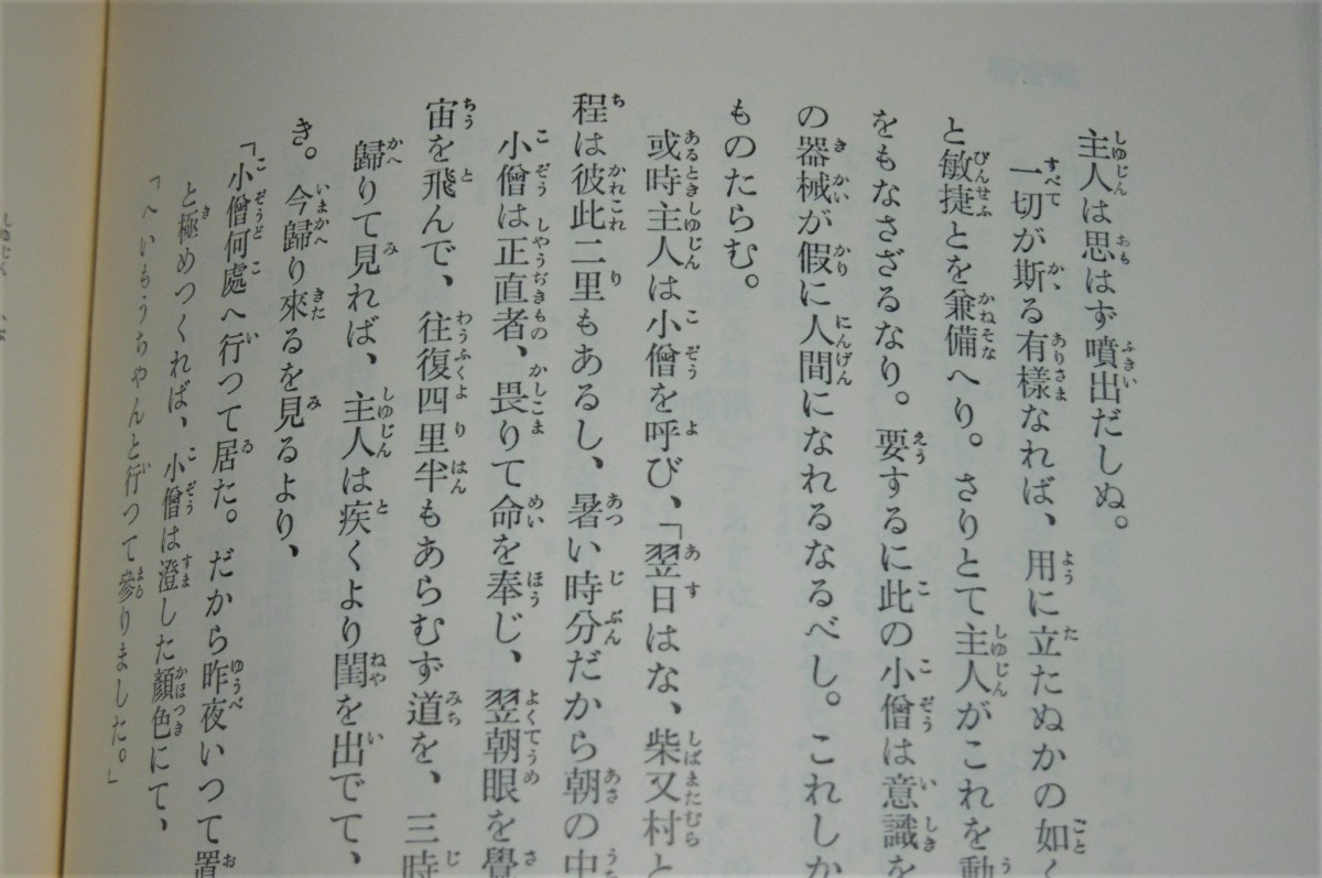 P1820950 (2)