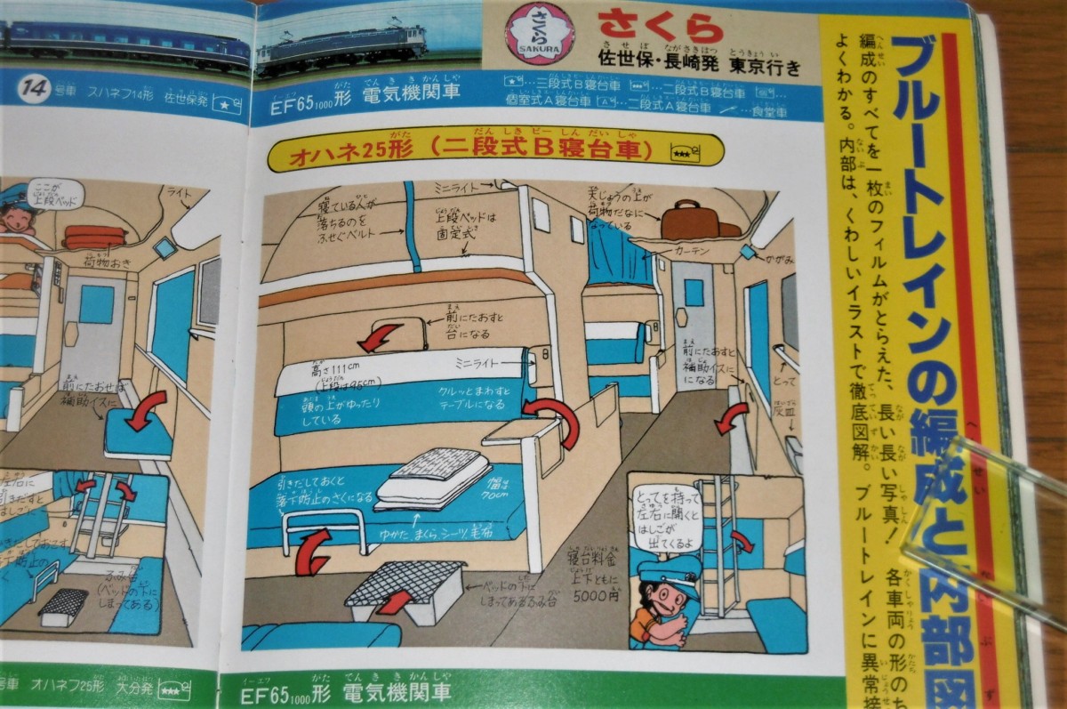 P1010173 (2)