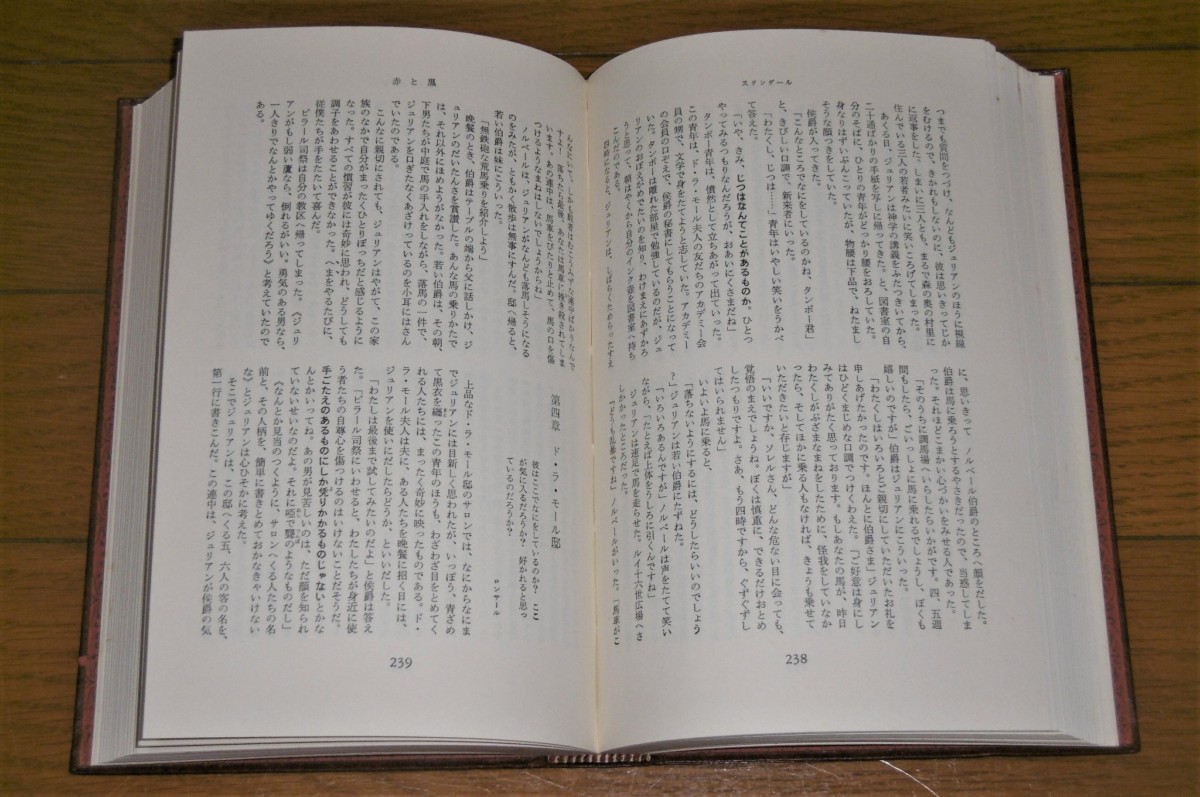 P1010863 (2)