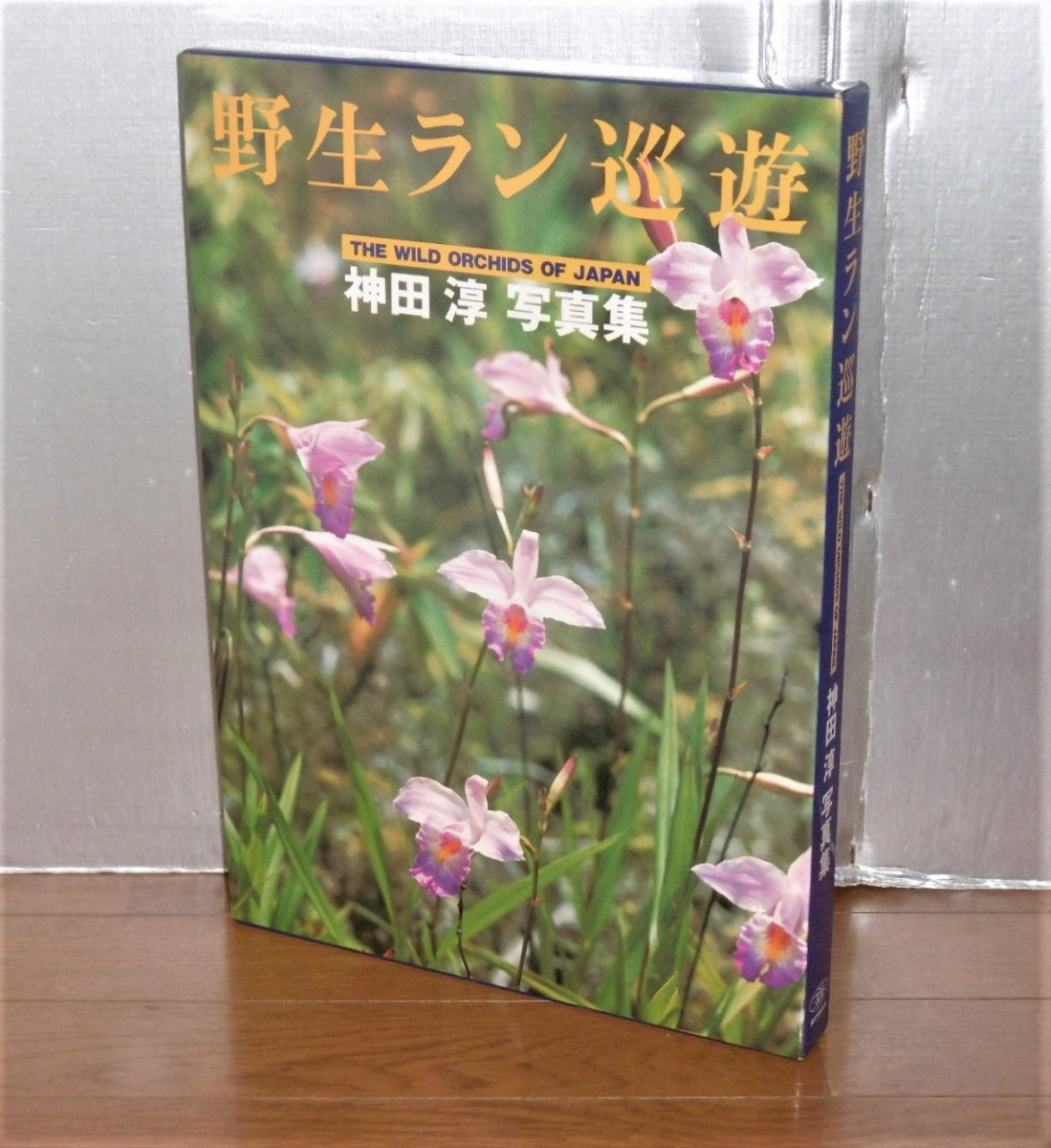 P1020111 (3)