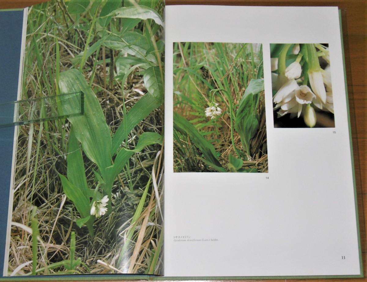 P1020118 (2)
