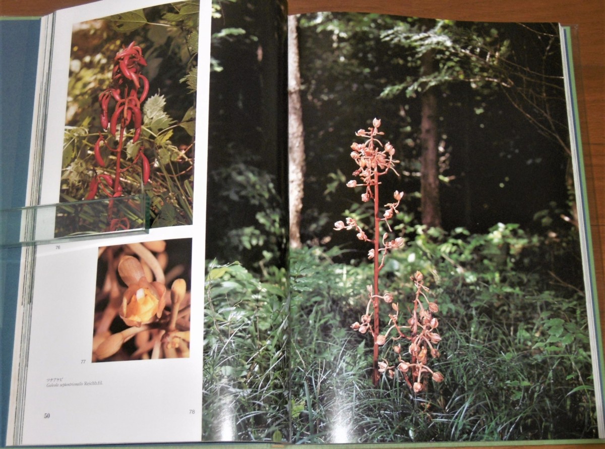 P1020122 (2)