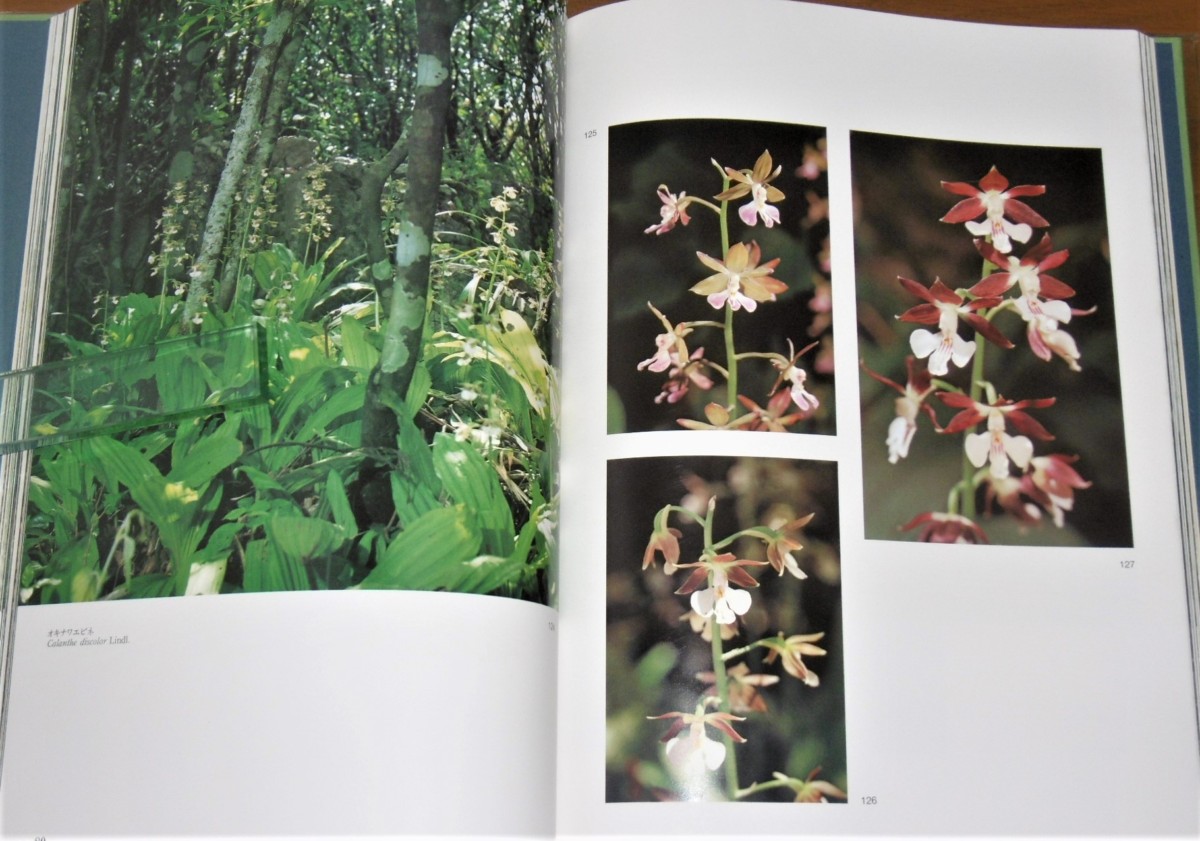 P1020123 (2)