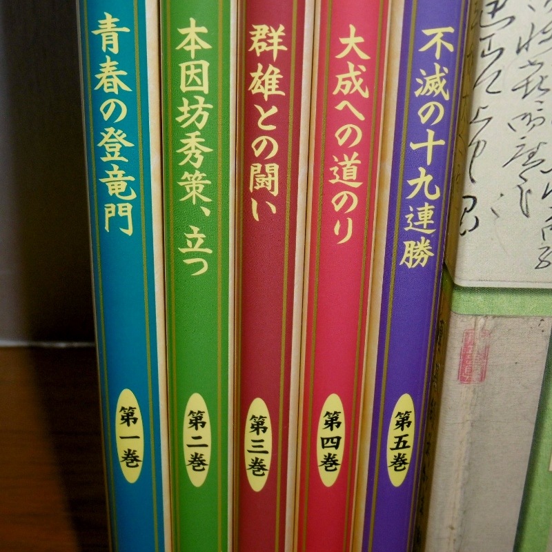 P1710535 (800x800)