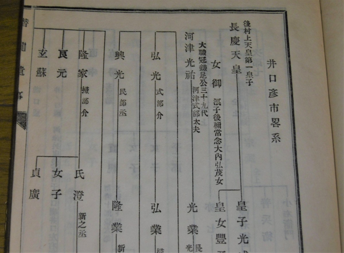 P1800037 (2)