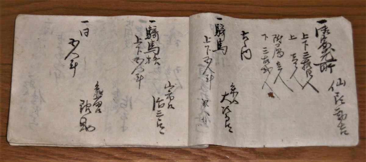 P1030325 (2)