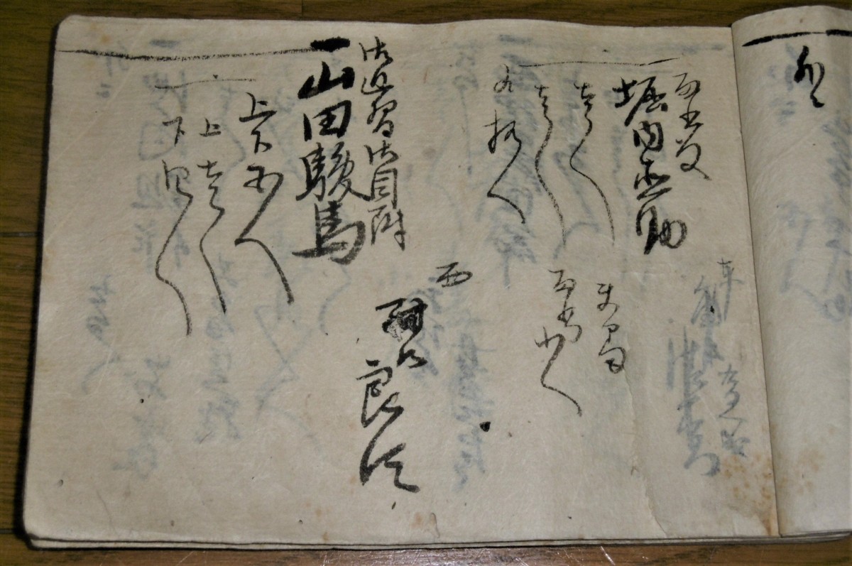 P1030331 (2)