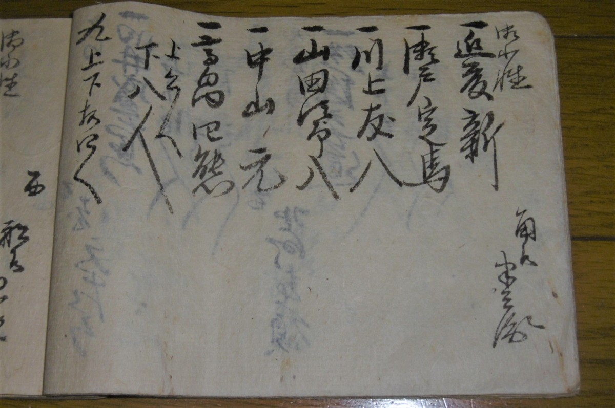 P1030335 (2)