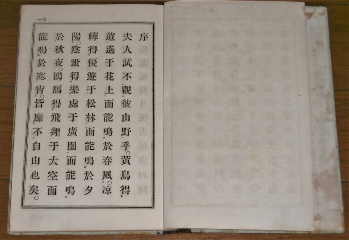 P1030354 (2)