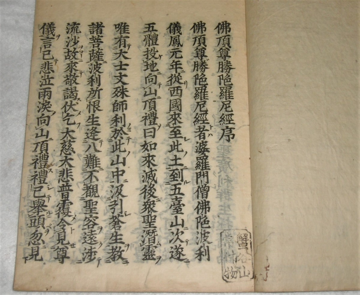 P1800105 (2)