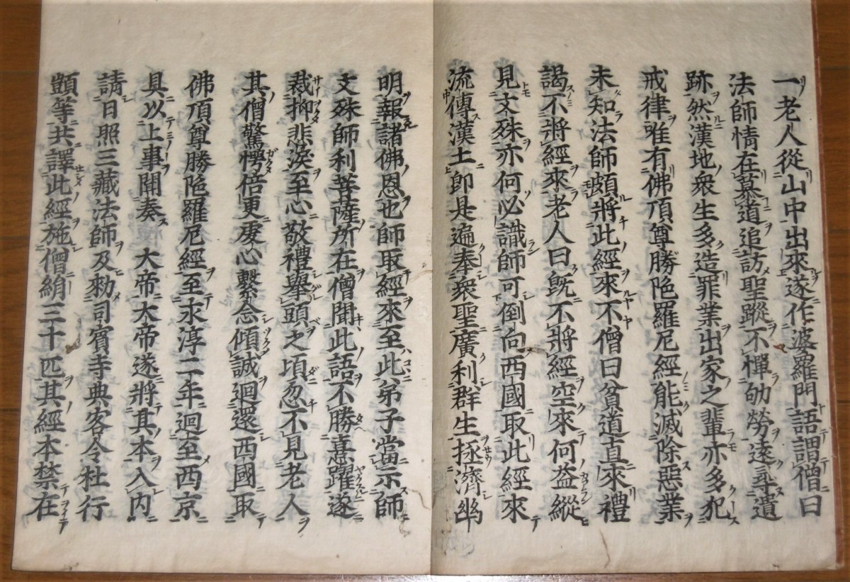 P1800107 (2)