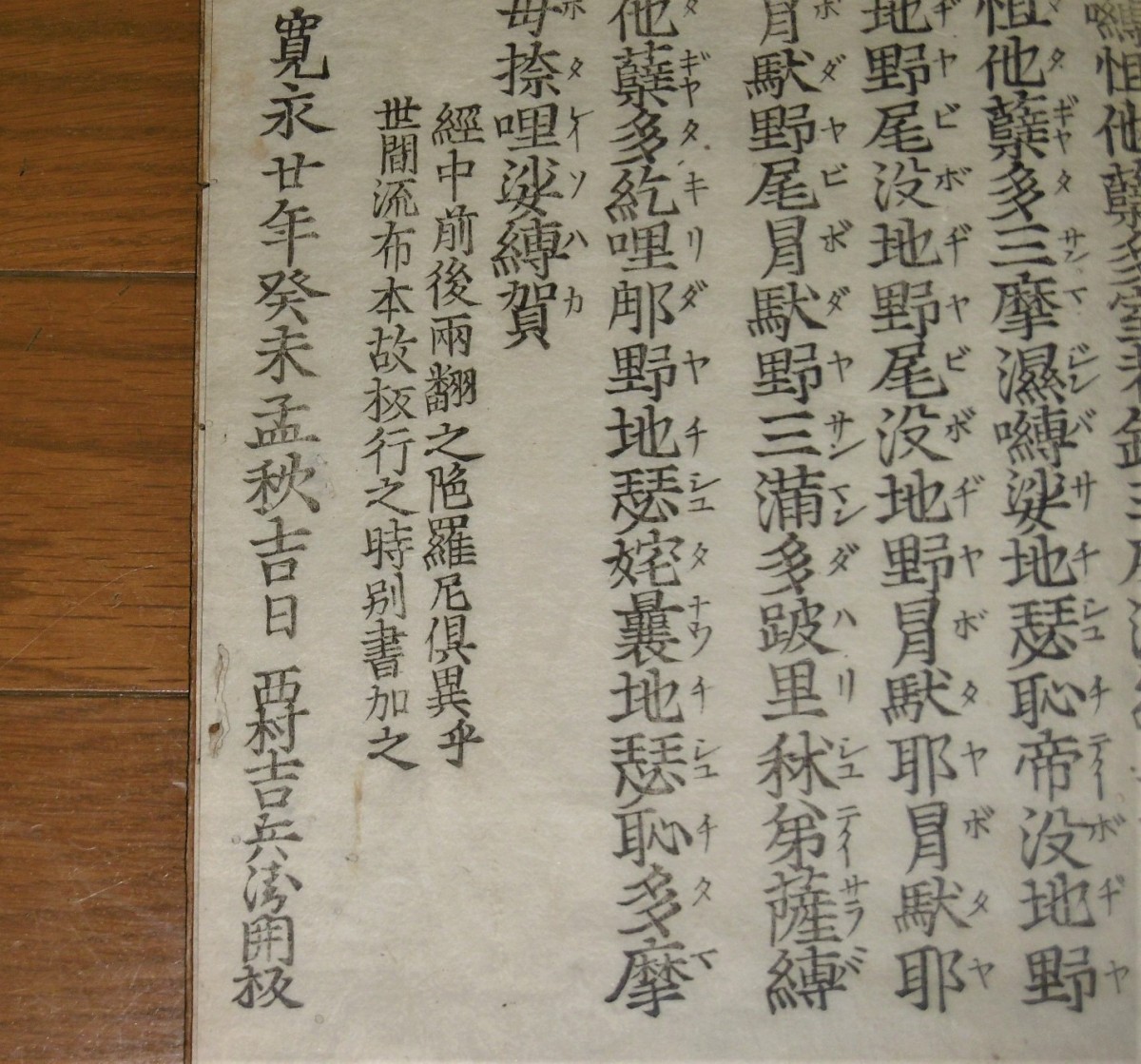 P1800111 (2)