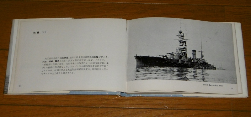 P1740601 (800x374)