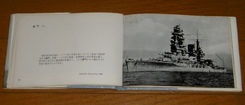 P1740602 (800x342)