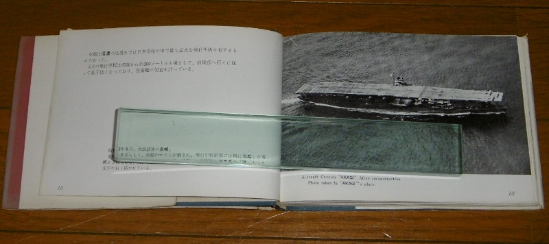 P1740603 (800x356)