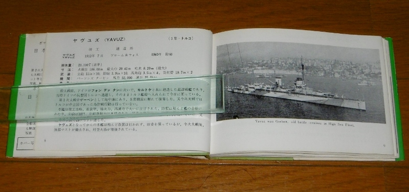 P1740605 (800x376)