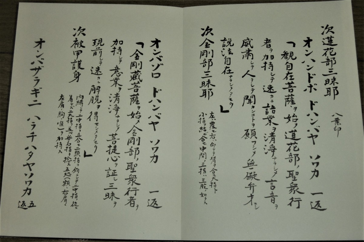 P1800770 (2)