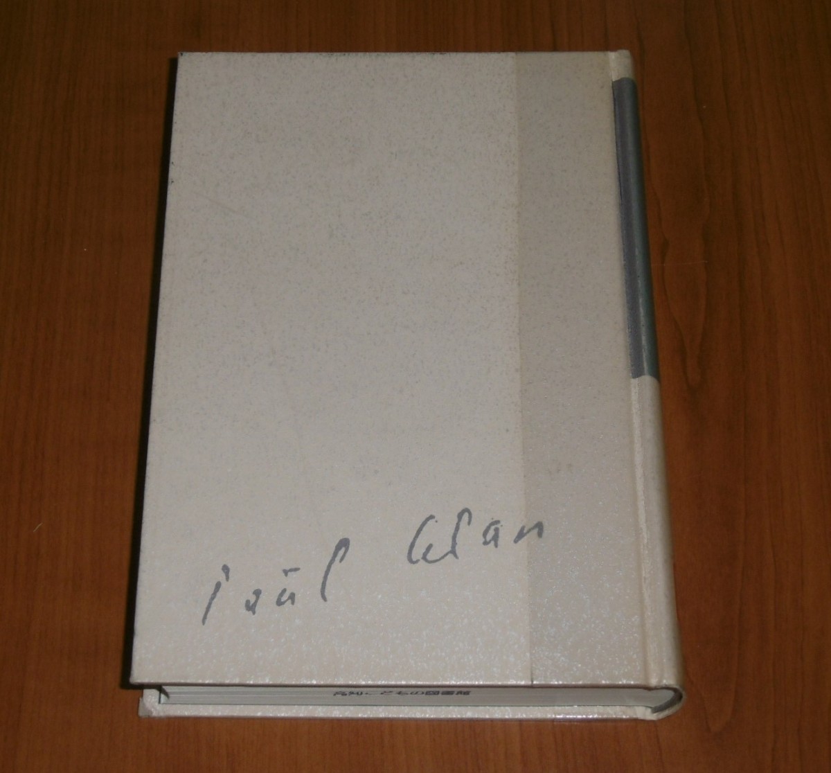 P1010953 (2)