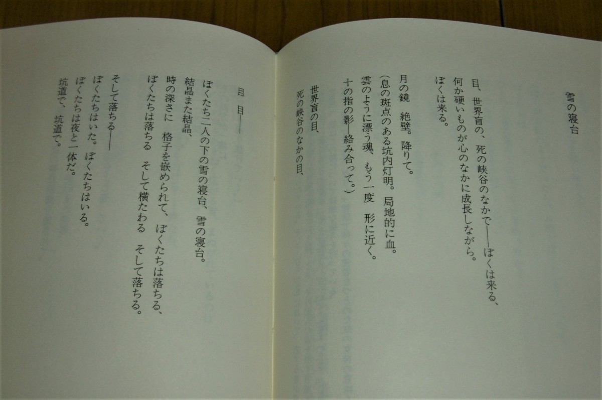 P1010960 (2)