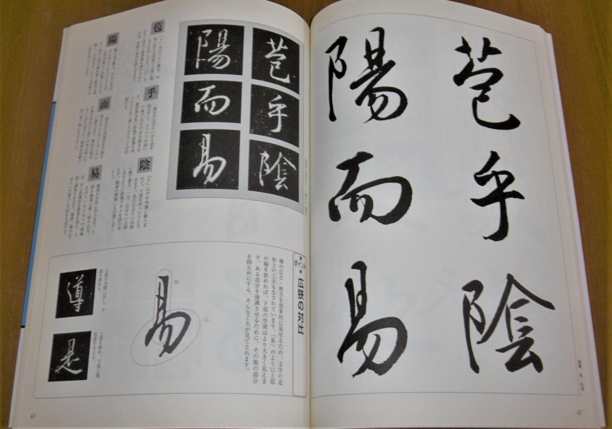 P1020003 (2)