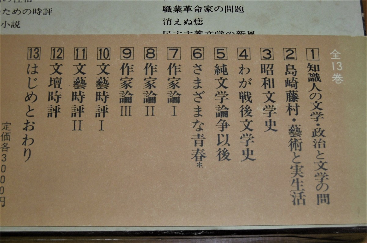 P1020037 (2)