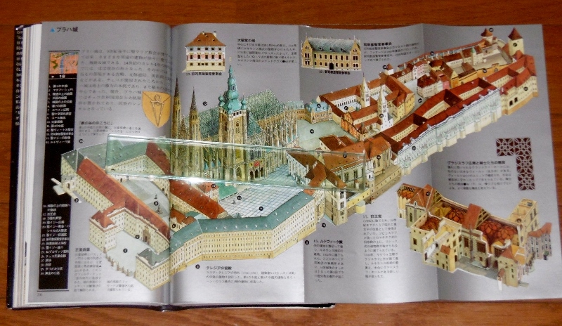 P1690662 (800x464)