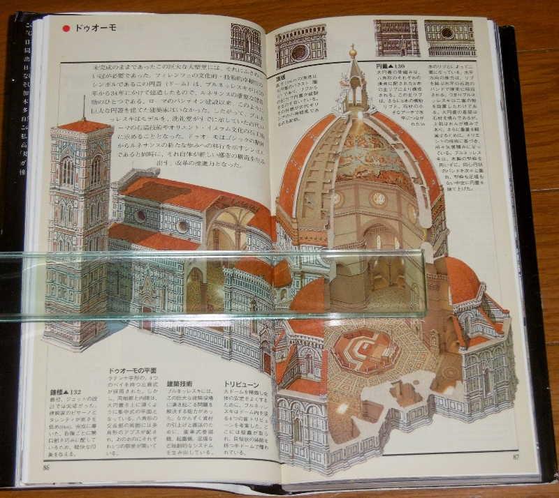 P1690671 (800x714)