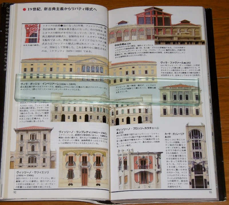 P1690673 (800x714)