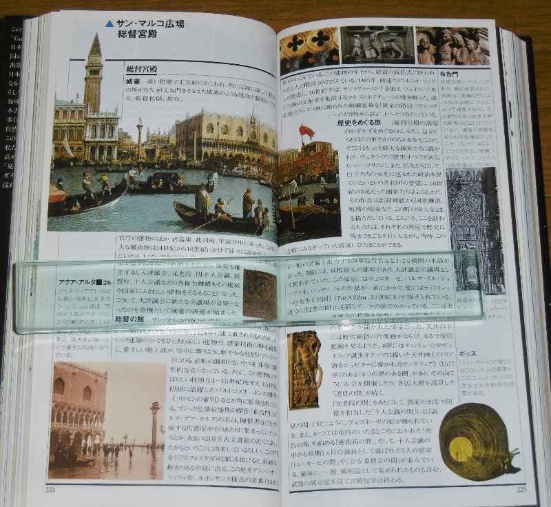 P1690683 (800x735)