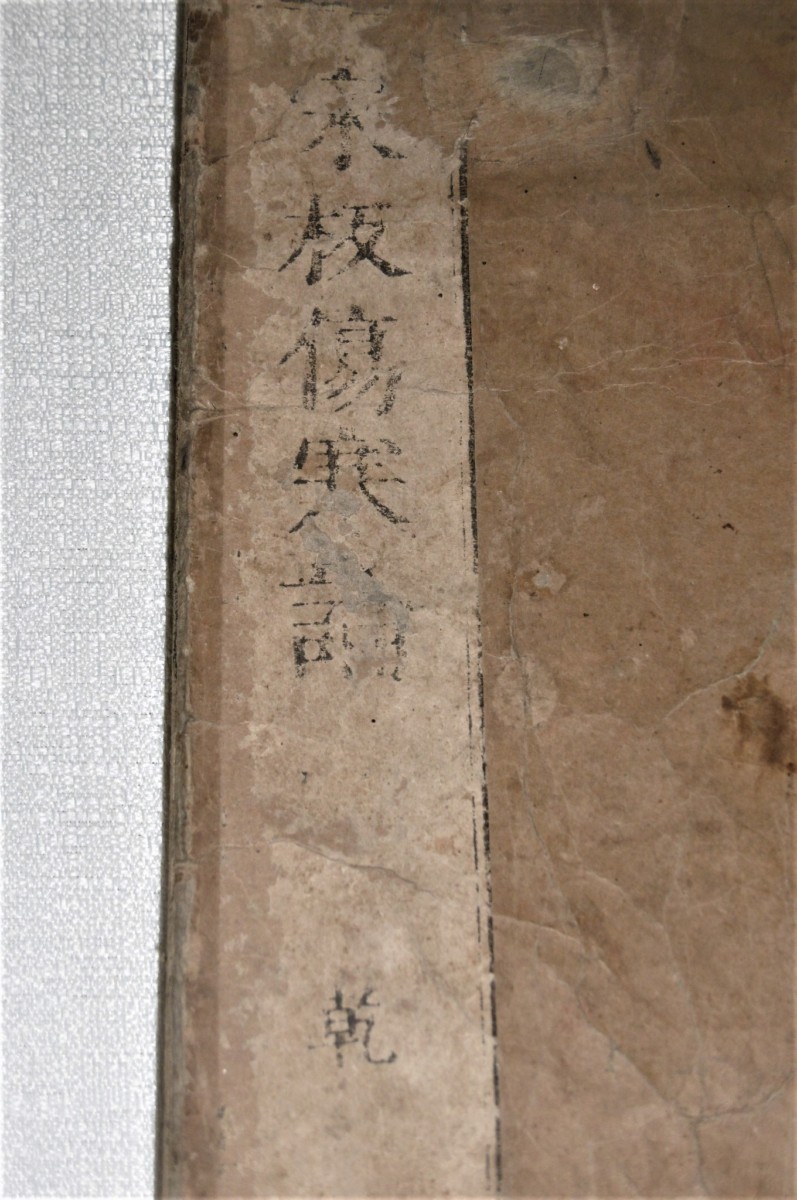 P1000719 (2)