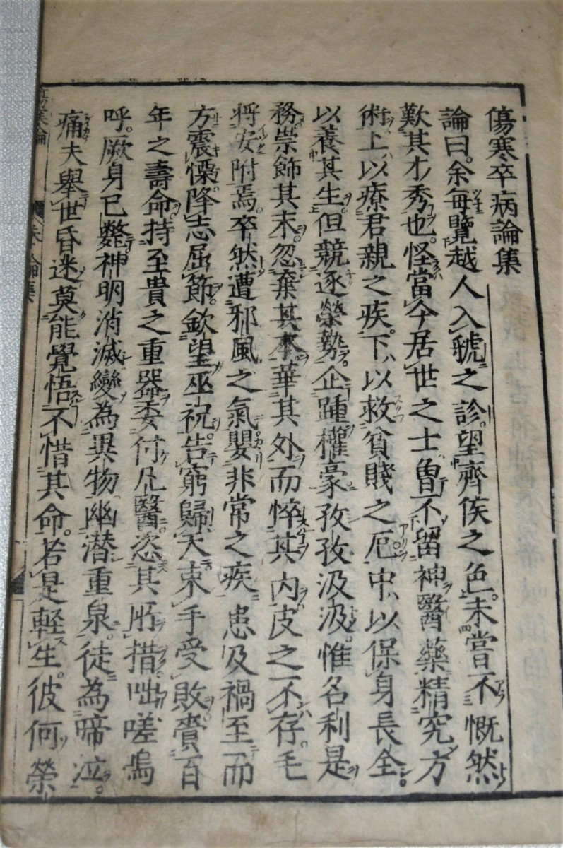 P1000722 (2)