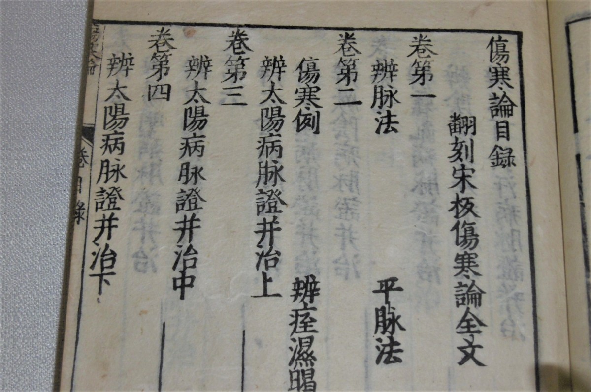 P1000726 (2)