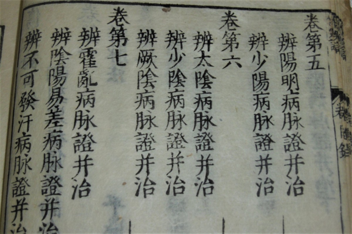 P1000727 (2)