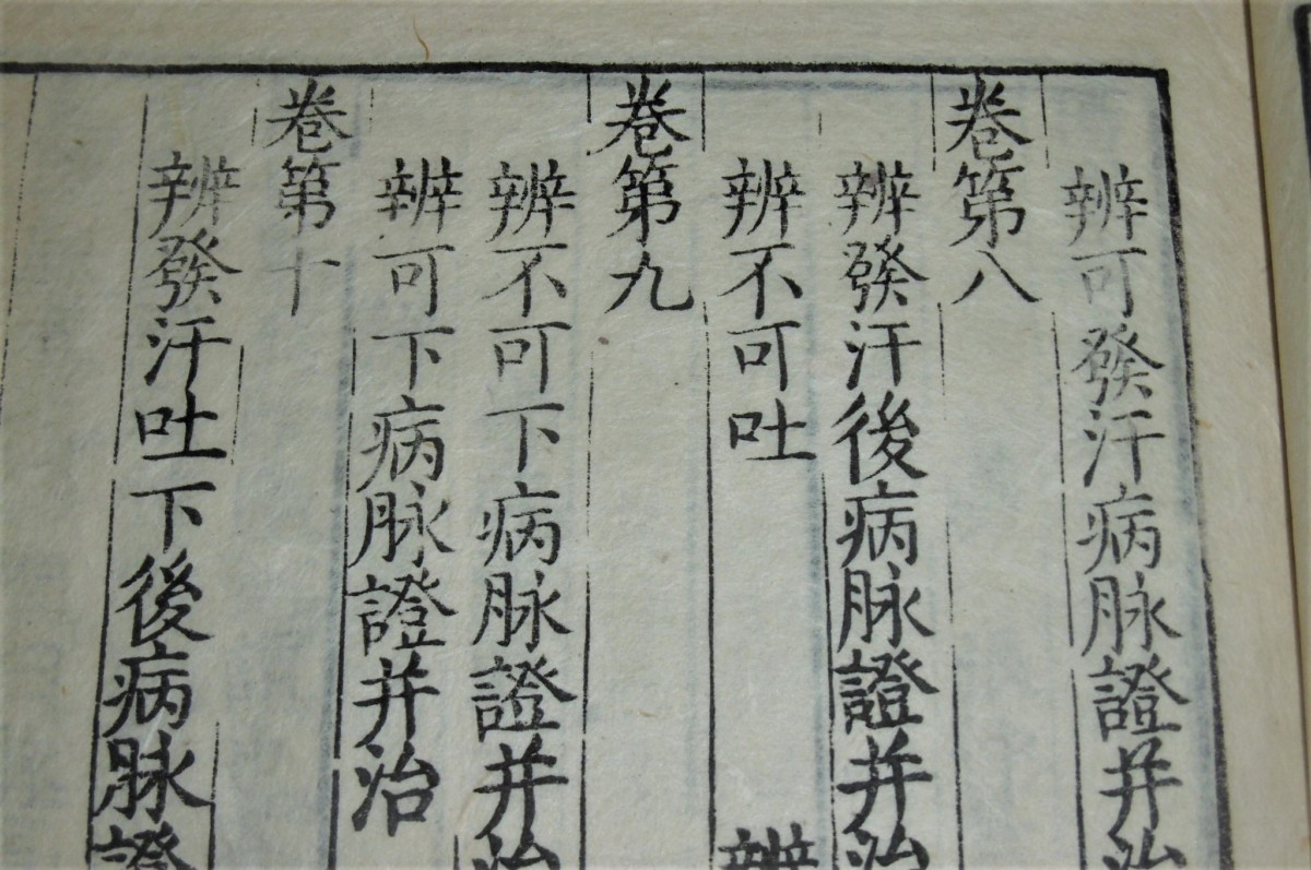 P1000728 (2)