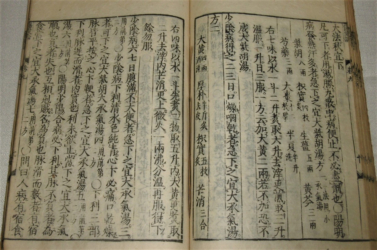 P1000732 (2)