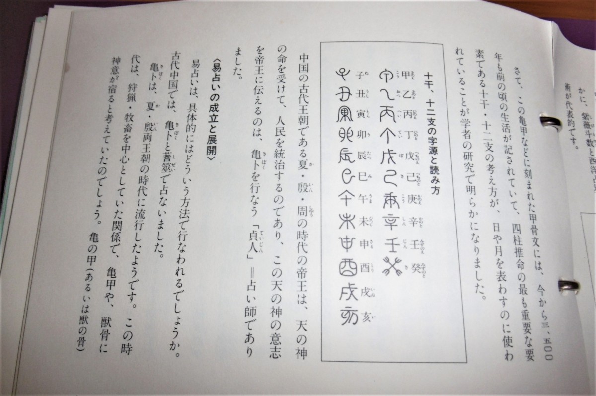 P1010152 (2)